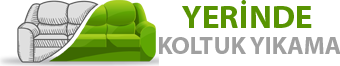 TERTEMİZ KOLTUK YIKAMA •  FOOTER LOGO - LOGO